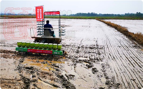 上海世达尔直播机参加团风县水稻生产全程机械化现场会