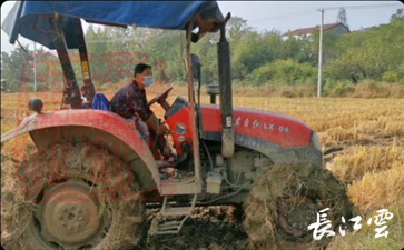 农机手程雄兵在收获后的稻田里翻耕整地